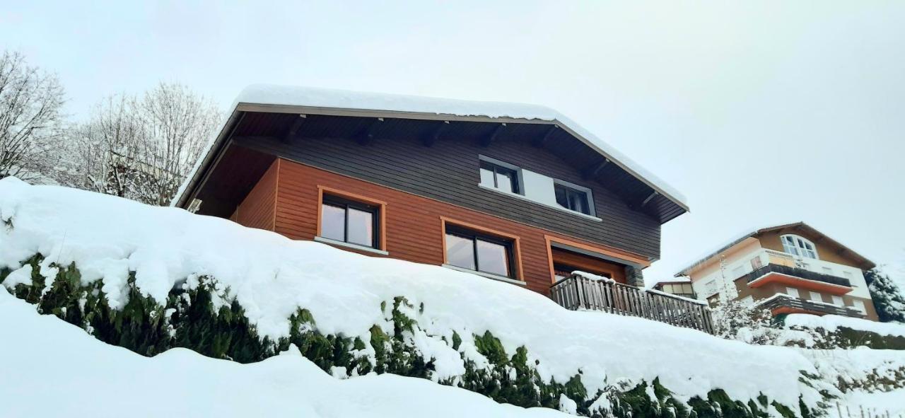 Вілла Chalet Les Trois Vallees Ла-Бресс Екстер'єр фото
